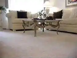 Lavagem de Carpete Residencial