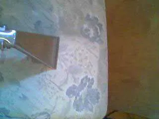 Lavagem de estofados