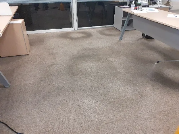 Limpeza de carpetes em Guarulhos