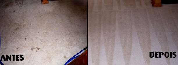 Limpeza de tapete Lavagem e higienização Dream Wash